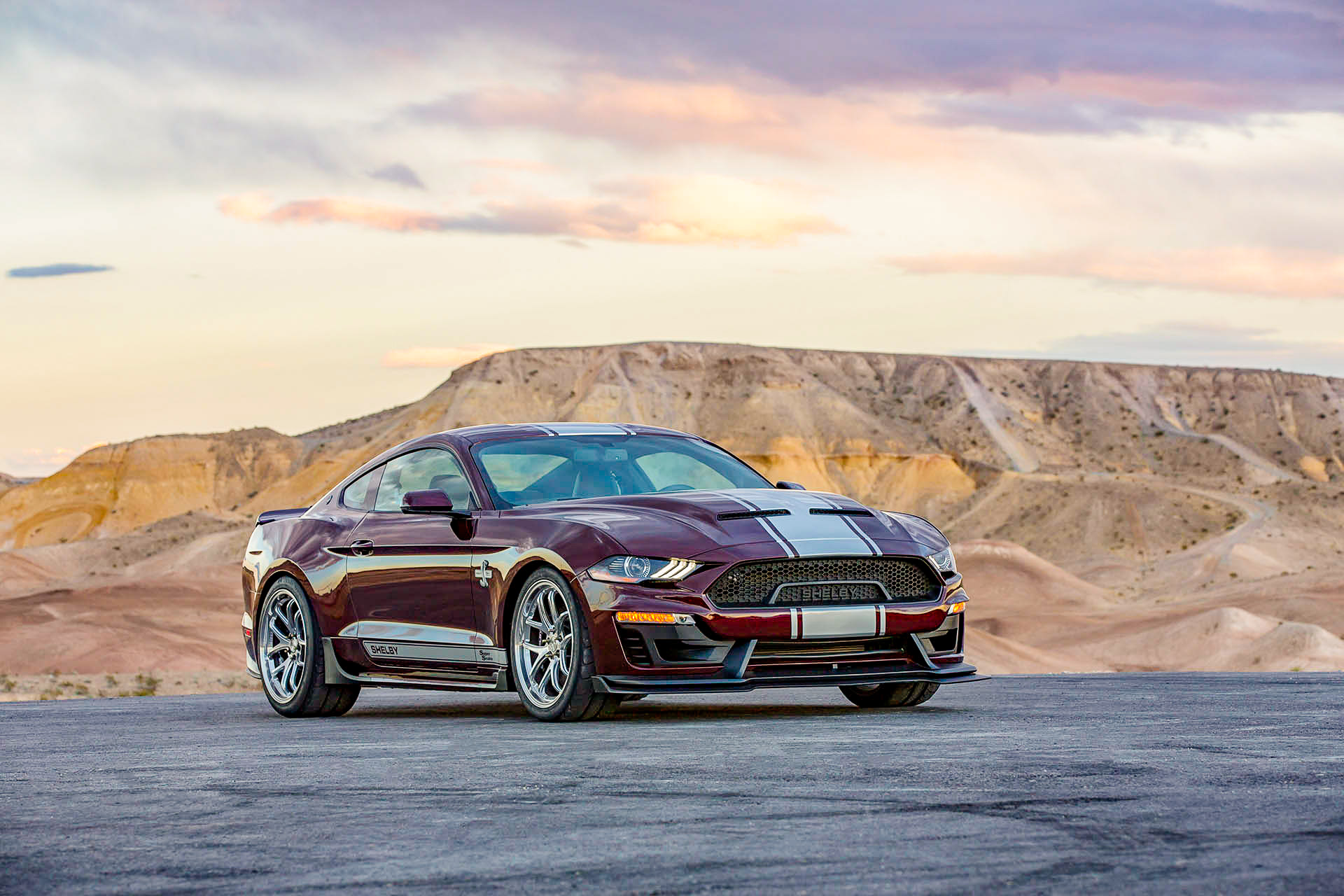 2018-19 SHELBY Super Snake Australia