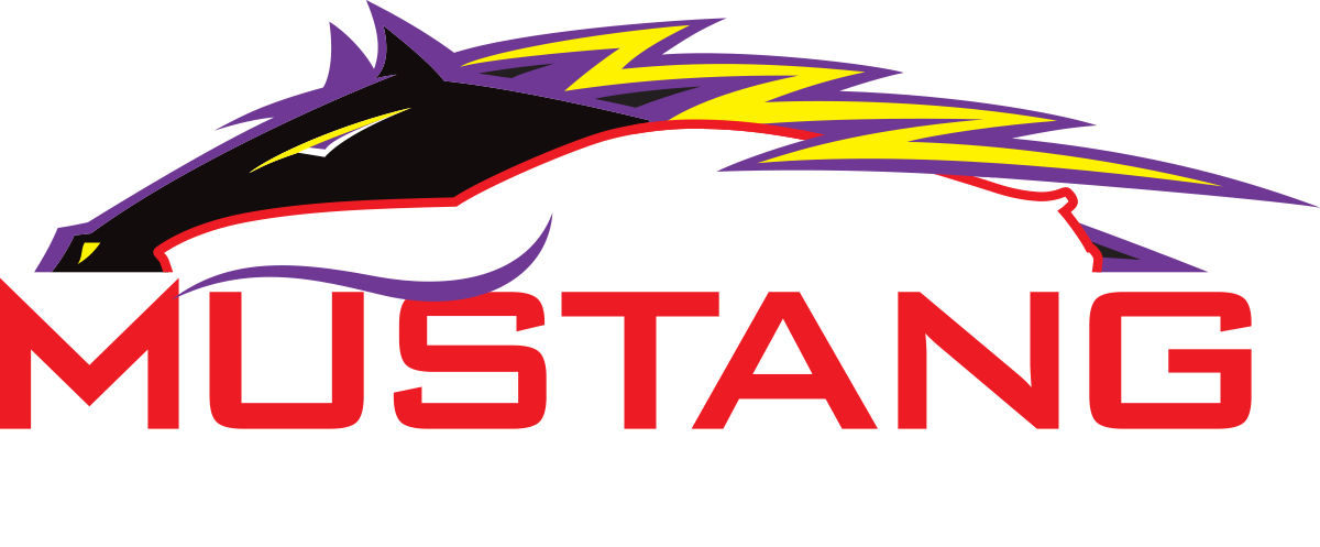 Mustang Motorsport