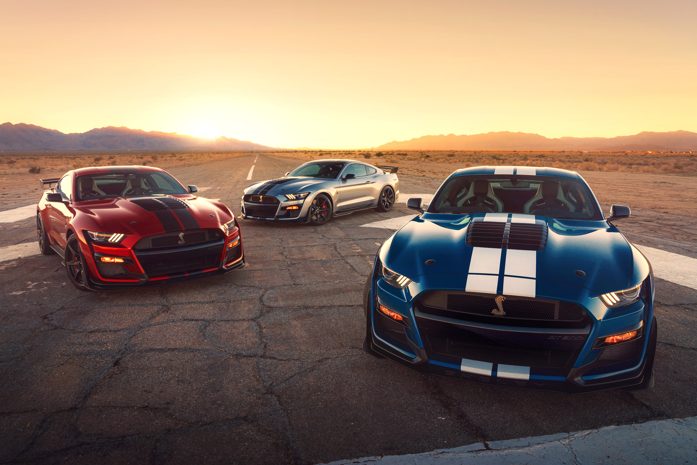 2020 SHELBY GT500 coming to Australia