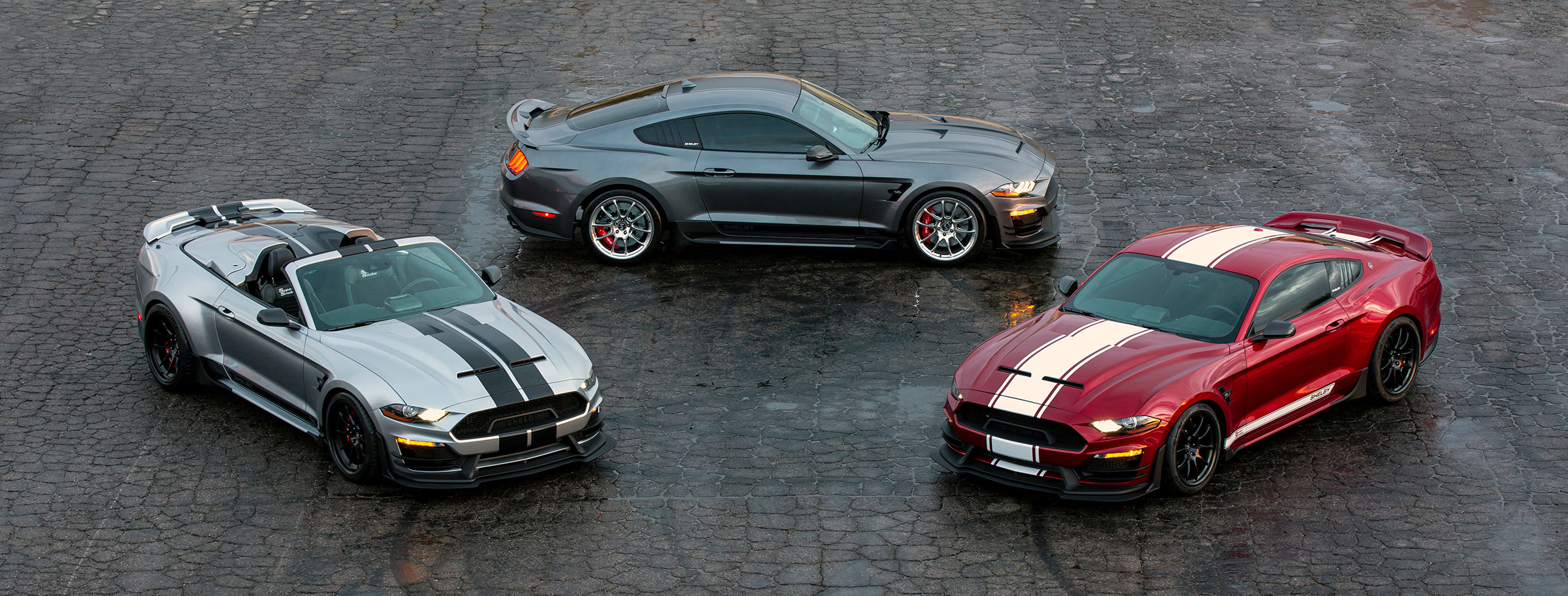 2021 Shelby Super Snake and Shelby GT Australia