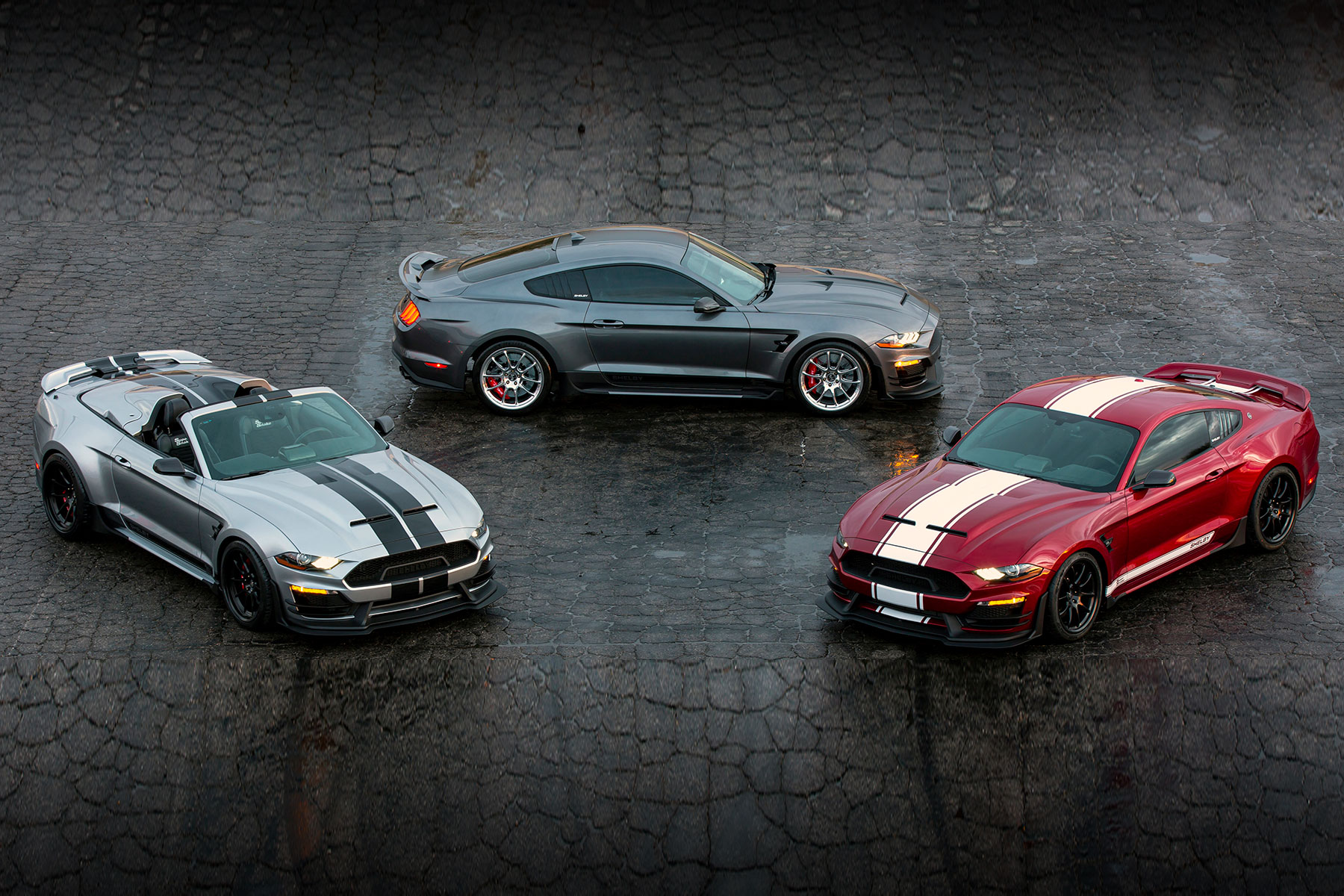 2021 Shelby Super Snake and Shelby GT Australia