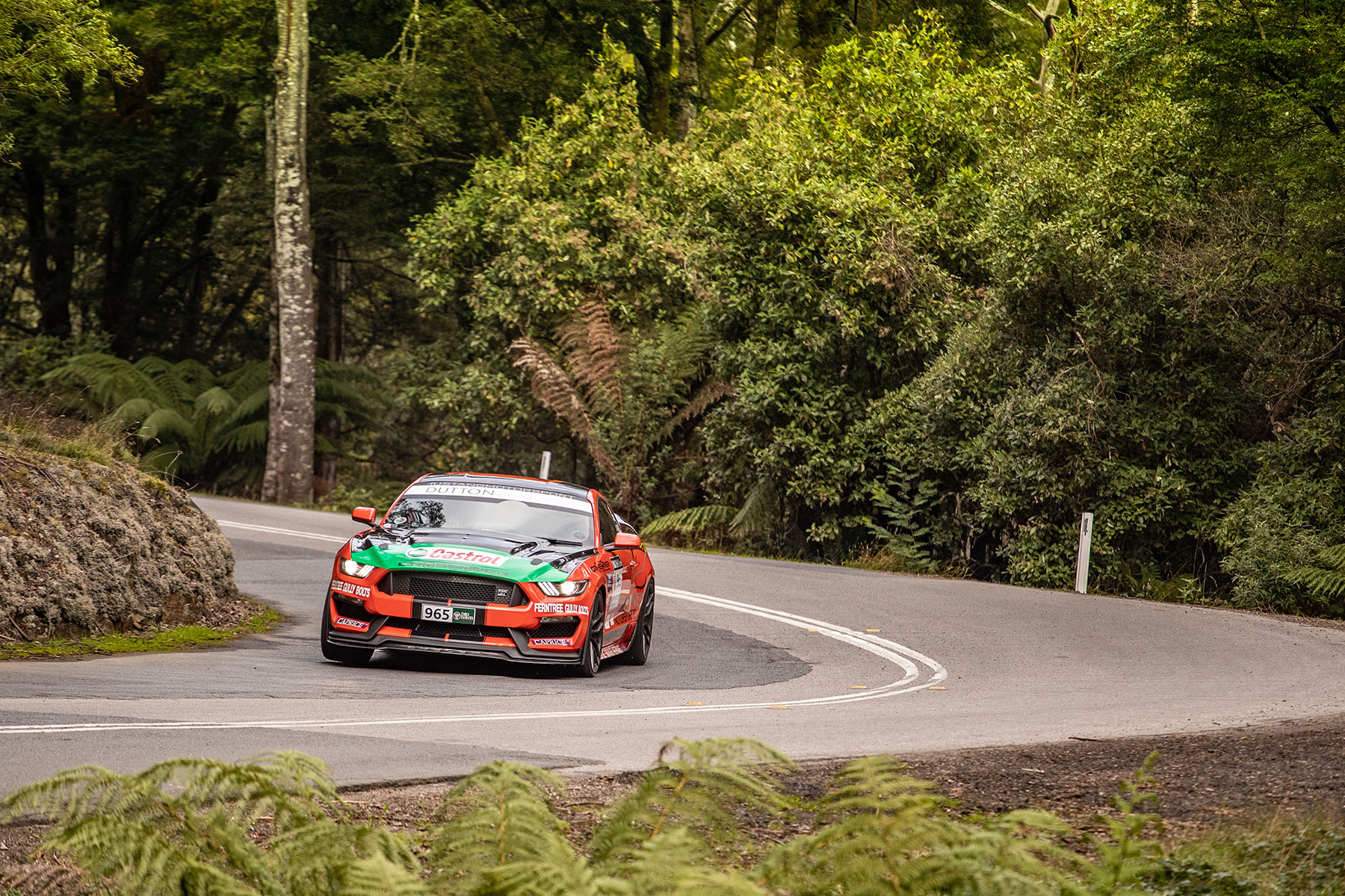 Targa Tasmania 2019